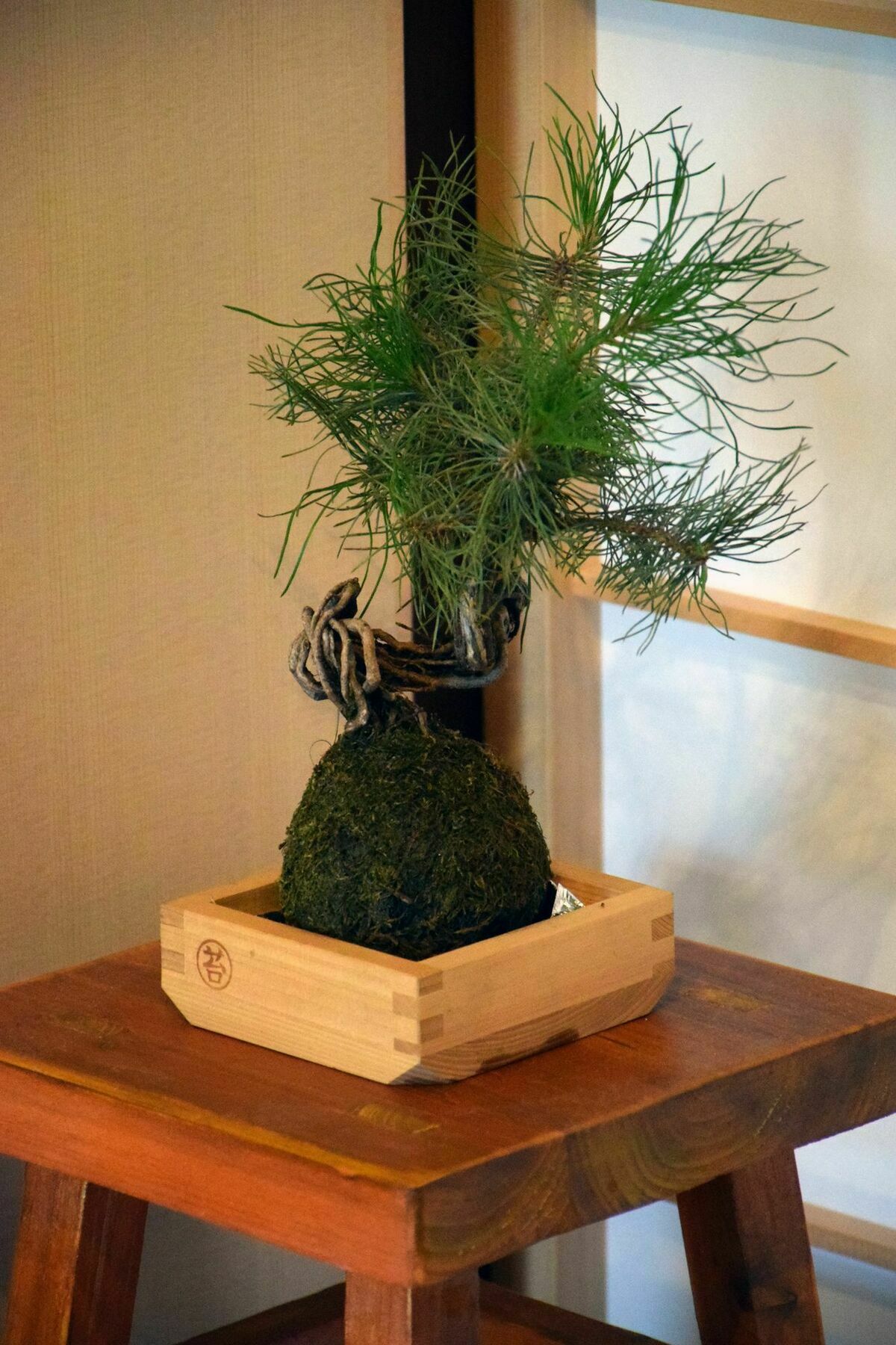 Guesthouse Hanamiya Kioto Zewnętrze zdjęcie